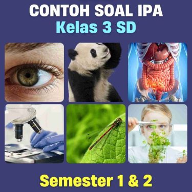 5 Contoh Soal dan Pembahasan IPA Kelas 3 SMK yang Sering Muncul di Ujian Akhir 2026
