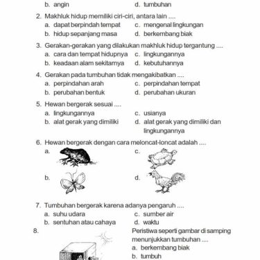 Akhirnya Ada Contoh Soal Ulangan Harian IPA Kelas 3 SD Bab 1 Siap Cetak Gratis