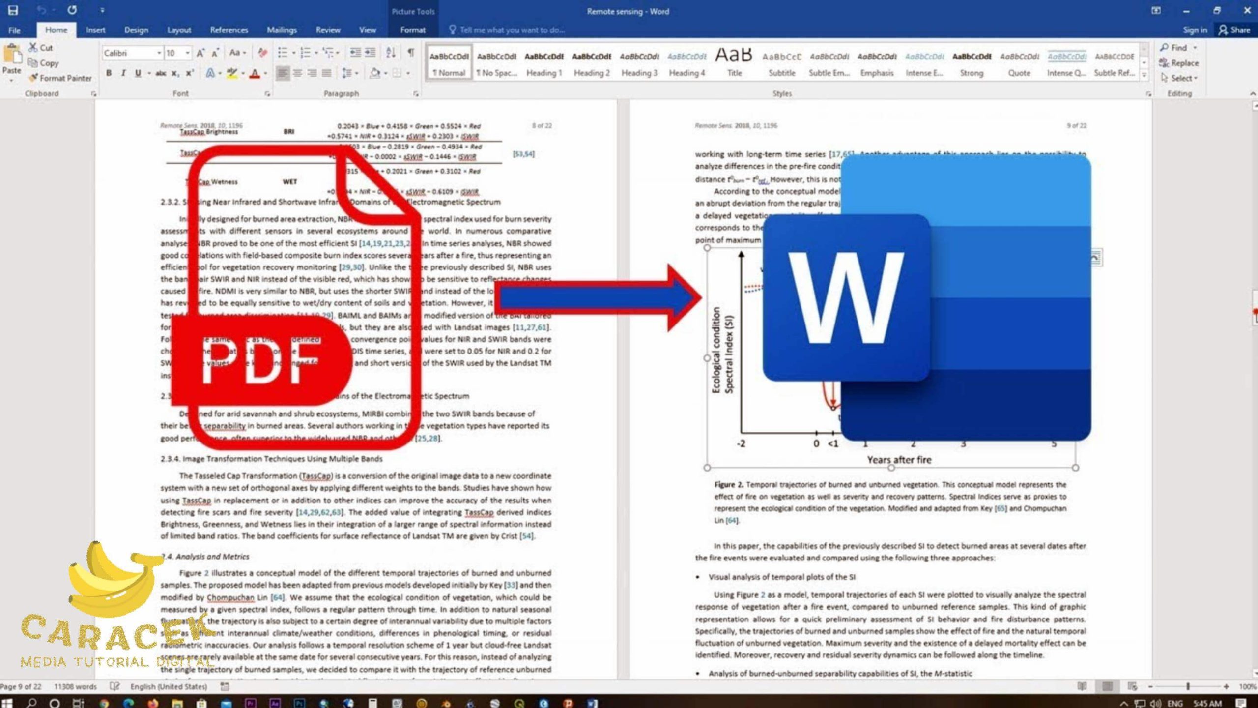 Terbukti Cepat! 7 Langkah Cara Ubah PDF 900 Halaman ke Word Tanpa Error Sebelum Terlambat